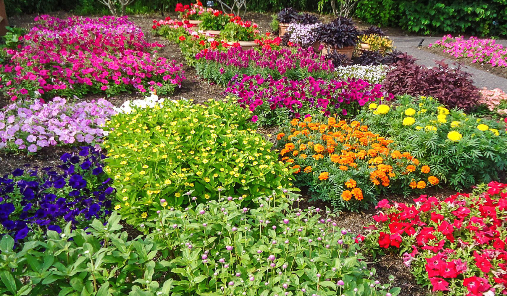 MOBOT trial beds